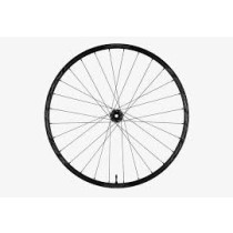 RACEFACE FRONT Wheel TURBINE R 35 29" Disc BOOST (15x110mm) Black (OWH21TURRBST3529FSTE)