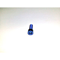 RCZ Alloy Bolt Super Light M6x15 Bleu