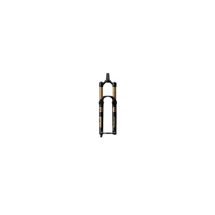 FOX RACING SHOX Fork 36 FLOAT 29