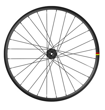 MAVIC REAR Wheel DEEMAX DH 29" Disc (12x148mm) XD Black (LR3336100)