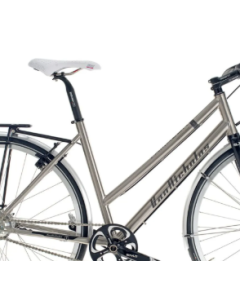 VAN NICHOLAS Frame AMAZON rohloff  Ladies Titanium Size 52