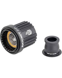 DT SWISS Freehub Body - Ratchet - Shimano 12sp 12x142/148mm  (HWYCBL00S5375S)