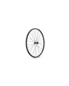  DT SWISS FRONT  Wheel  X 1900 SPLINE 29" (15x110mm) Black (W0X1900BFIXSO18839)