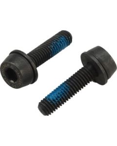 CAMPAGNOLO Screws Ekar 2x34mm (104930)