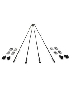 Campagnolo Spokes (WH-018SCC)