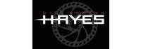 HAYES