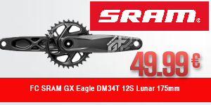 SRAM-FL10015812-PAL