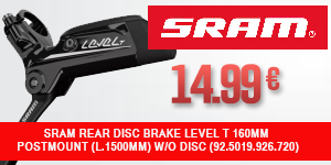 SRAM-FL10015690-PAL