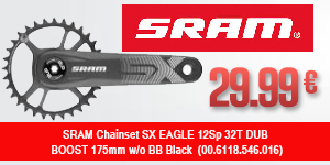 SRAM-FL10027384-PAL
