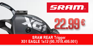 SRAM-17420-PPN