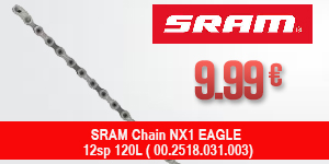 SRAM-FL10017654-PAL