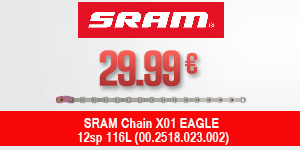 SRAM-FL10017741-PAL