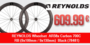 REYNOLDS-78481-YES