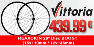 VITTORIA-1W2A132BB0016AM-CLT