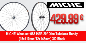 MICHE-988-XDHG-LO