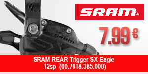 SRAM-FL10013866-PAL