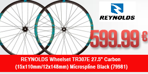 REYNOLDS-79981-SH
