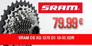 SRAM-100093-AG6